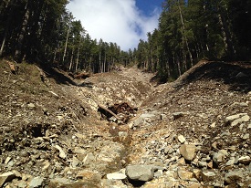 Alpine-sourced Landslides