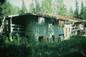 House damaged by thawing permafrost near Fairbanks, Alaska.