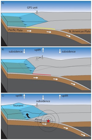 A simplified representation of a tsunami-generating earthquake cycle